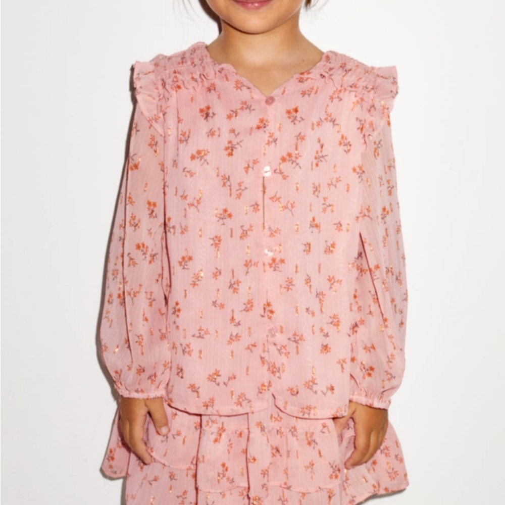 Zara toddler girl blouse